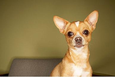 独立游戏《逃离塔科夫竞技场》公布 传统竞技场死亡竞赛、2022年秋季封测